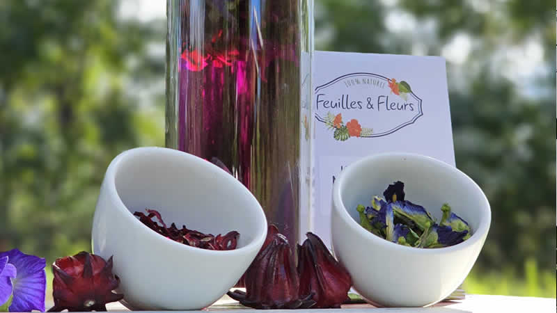 Tisanes de Feuilles et Fleur 2