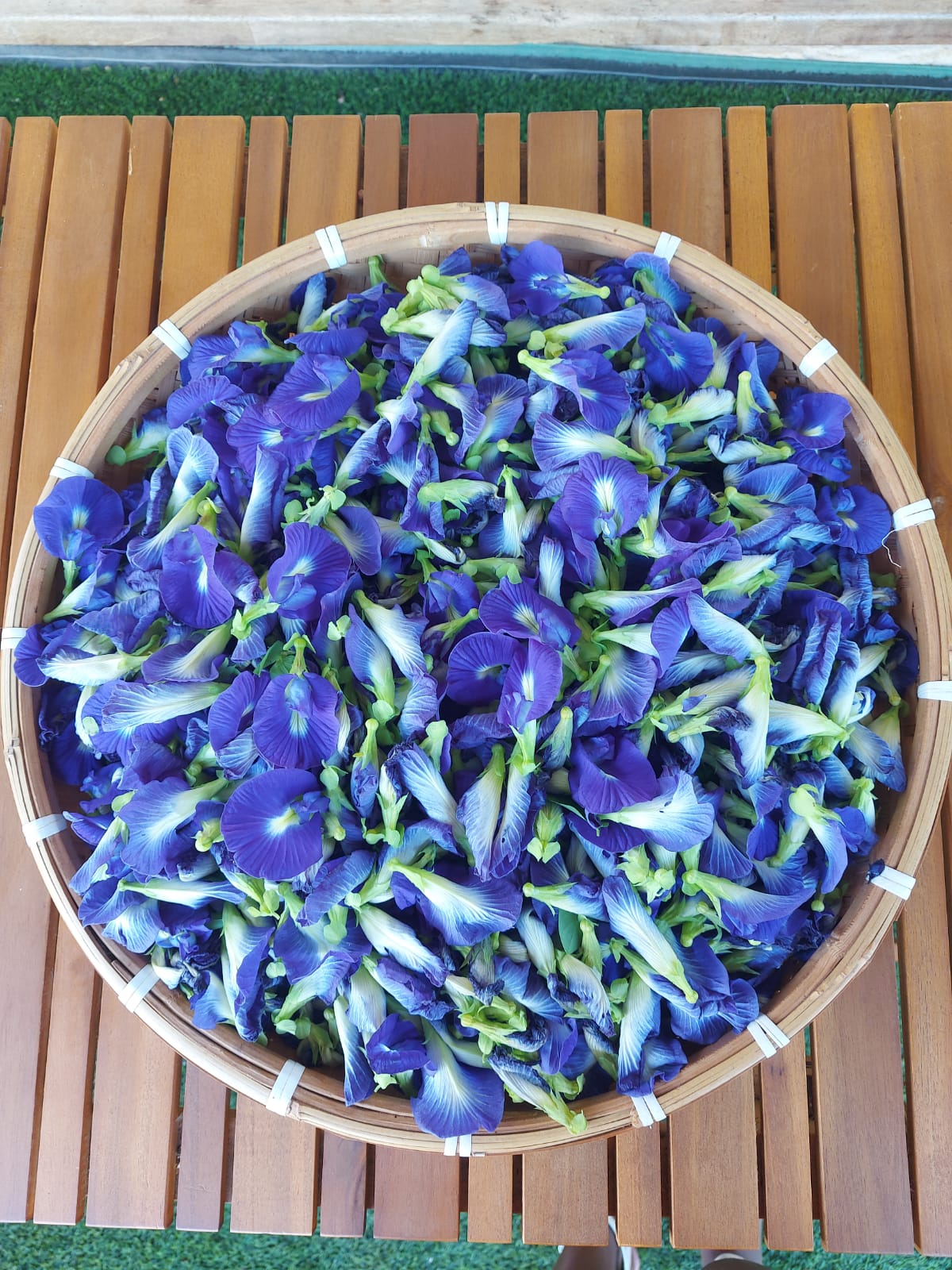Le Thé Bleu  Feuilles et Fleurs
