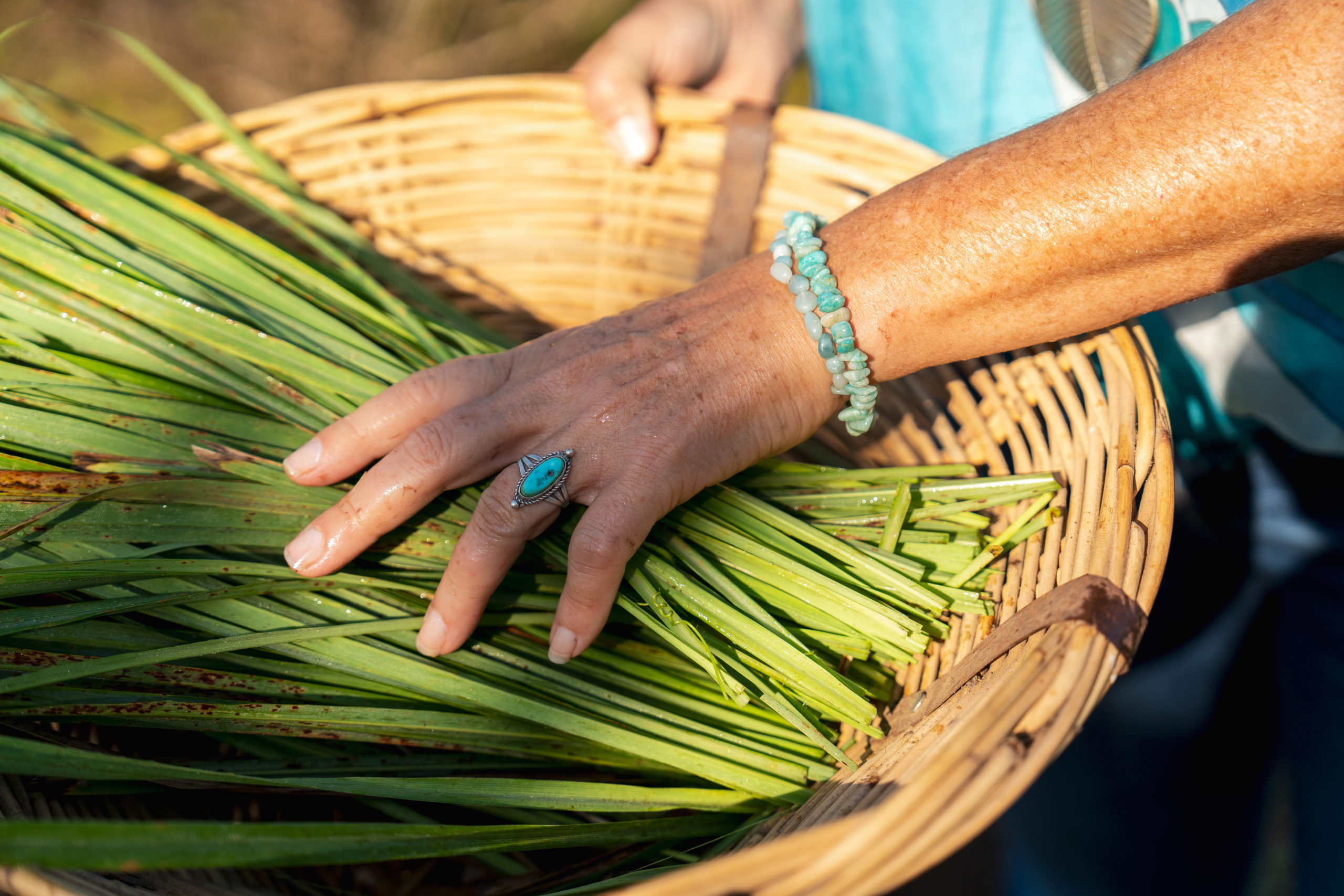 _ALX4724_Nathalie_Fleur_Salade