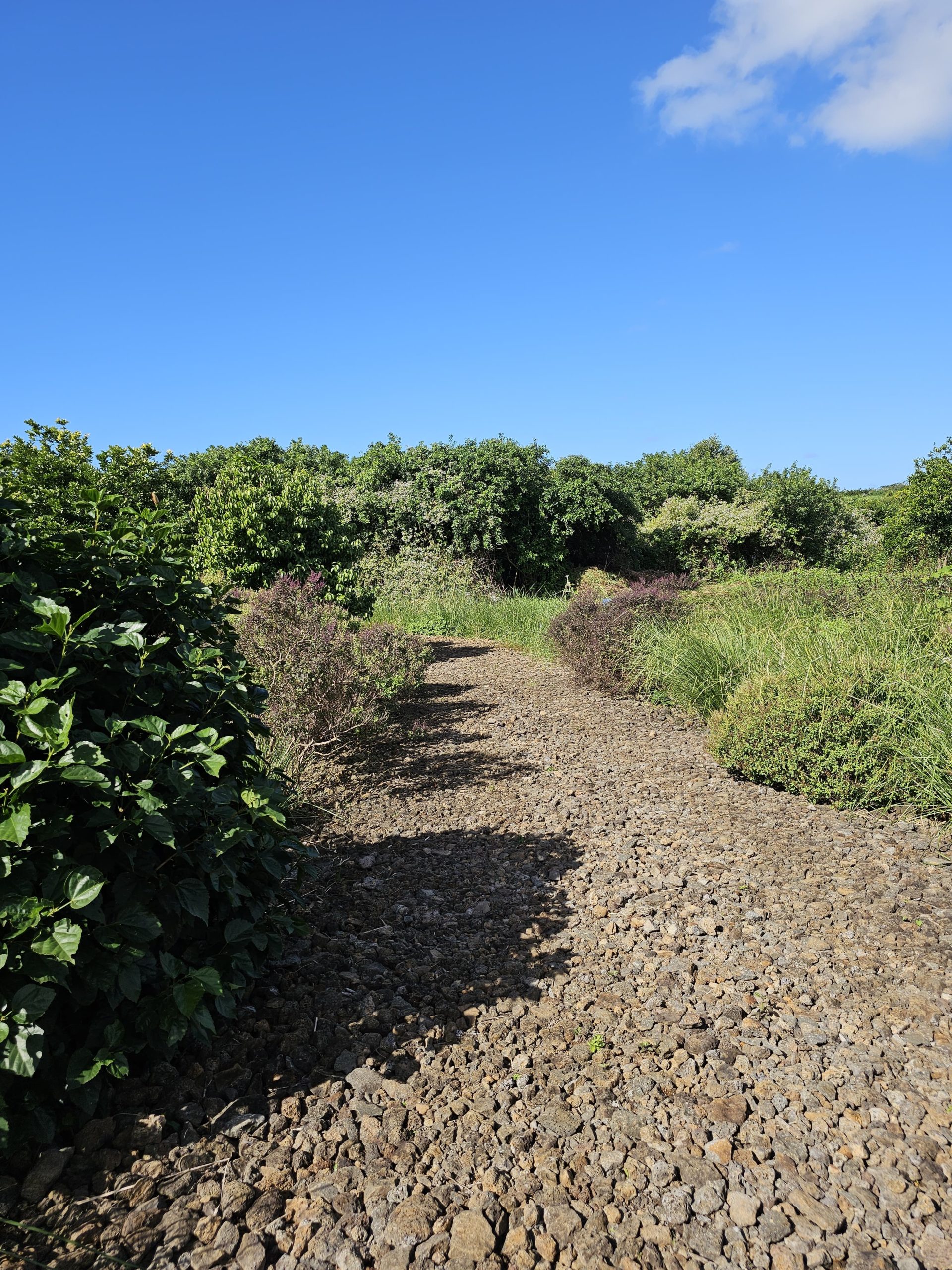 chemin
