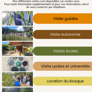 Les différentes visites du champ
